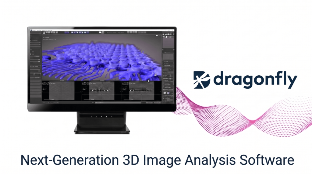 Dragonfly 3D World